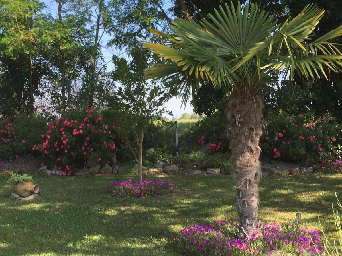 Appartement mansardé et climatisé 50 m2 Pompignan  Extérieur photo