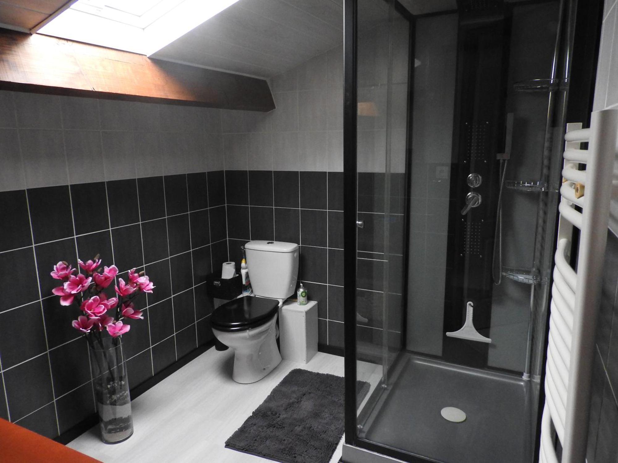 Appartement mansardé et climatisé 50 m2 Pompignan  Extérieur photo